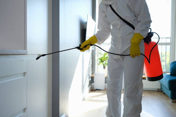 Best Affordable Mold Removal  in Mccom, OH