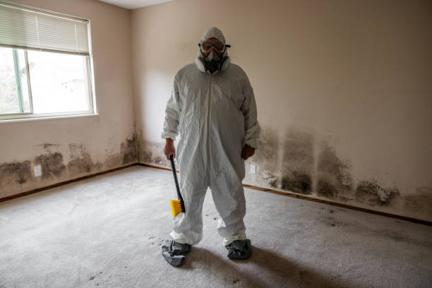 Best Commercial Mold Removal  in Mccom, OH